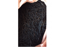 4 kg dớn cọng