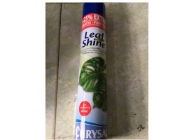 Chai Leaf Shine xịt bóng lá cho Lan và cây cảnh 750ml