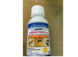 Chế Phẩm Diệt Côn Trùng Lucky lọ 100ml