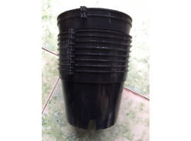 Combo 20 chậu bít đường kính 18 cm