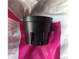 Ccombo 50 chậu đen 10 cm trồng cây con hoặc cây mô