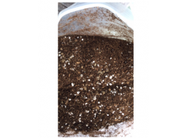 Giá thể trồng sen đá và xương rồng-15l