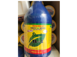 Phân bón lá cao cấp vitamin B1 Start của Growmore 3.8lit