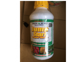 Phân bón lá Jump Start Super Thrive 1 lít