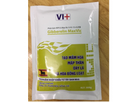 Phân bón NPK G Max Vic 5-55-15+0,35B