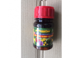 Powerfeed-mập mầm, to hoa, hày cánh.