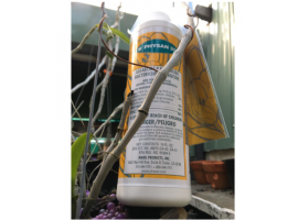 Sản phẩm sát khuẩn cây trồng Physan 480ml hàng nguyên bản từ U.S.A