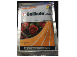 Thuốc trừ bệnh BellKute Đặc trị Phấn Trắng hoa hồng 40gr