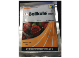 Thuốc trừ bệnh BellKute Đặc trị Phấn Trắng hoa hồng 40gr