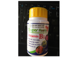 Vitamin B1 Super Roots – Kích rễ, kích mầm lọ 100ml