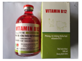 Vitamin B12 TA giải độc, sốc phân, sốc thuốc cây lan, không phun rễ